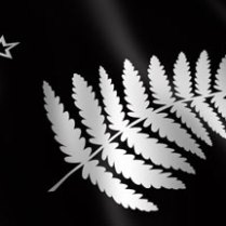 Silver fern flag